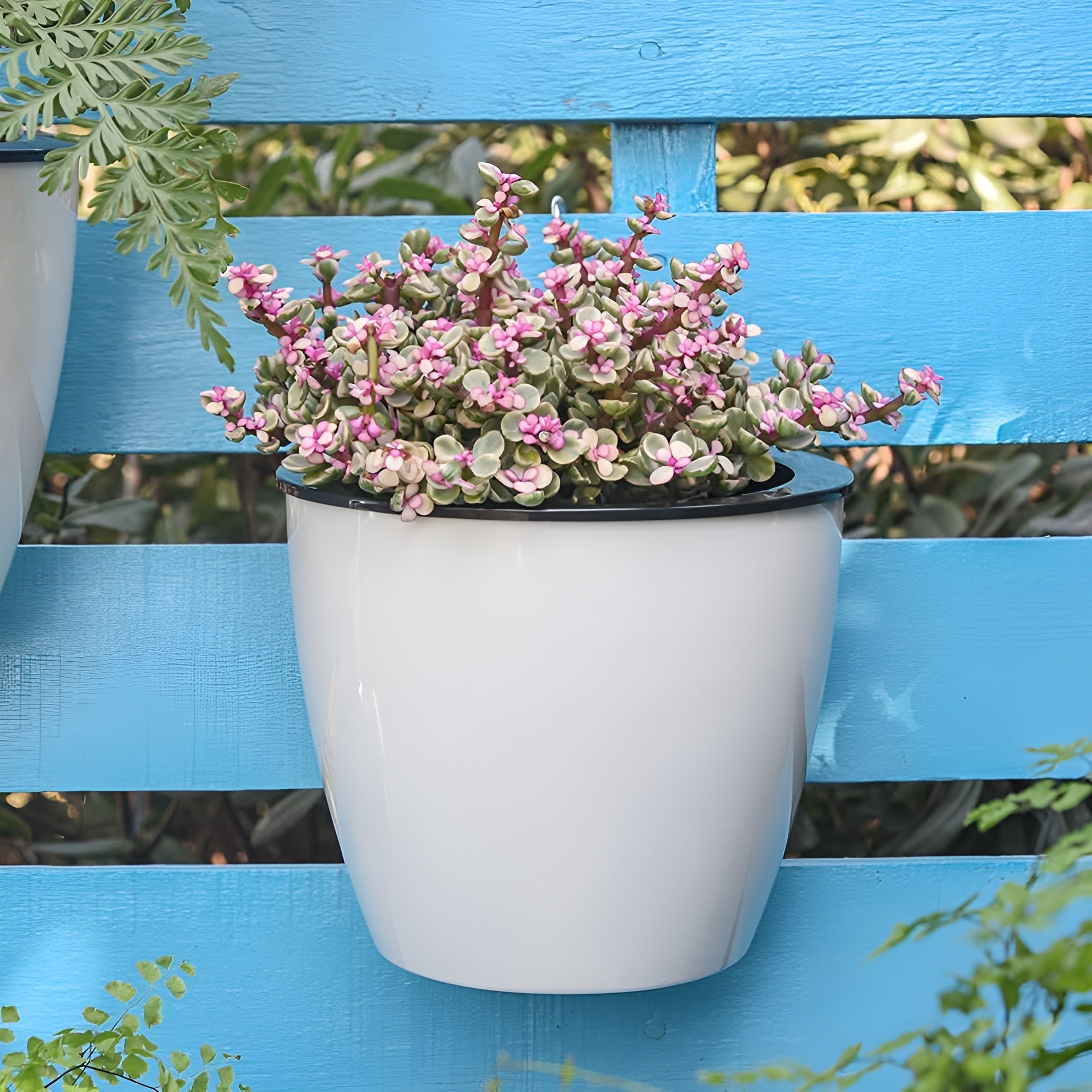 Vegghage Balance – Selvvannende Blomsterpotte For Innendørs Og Utendørs Bruk