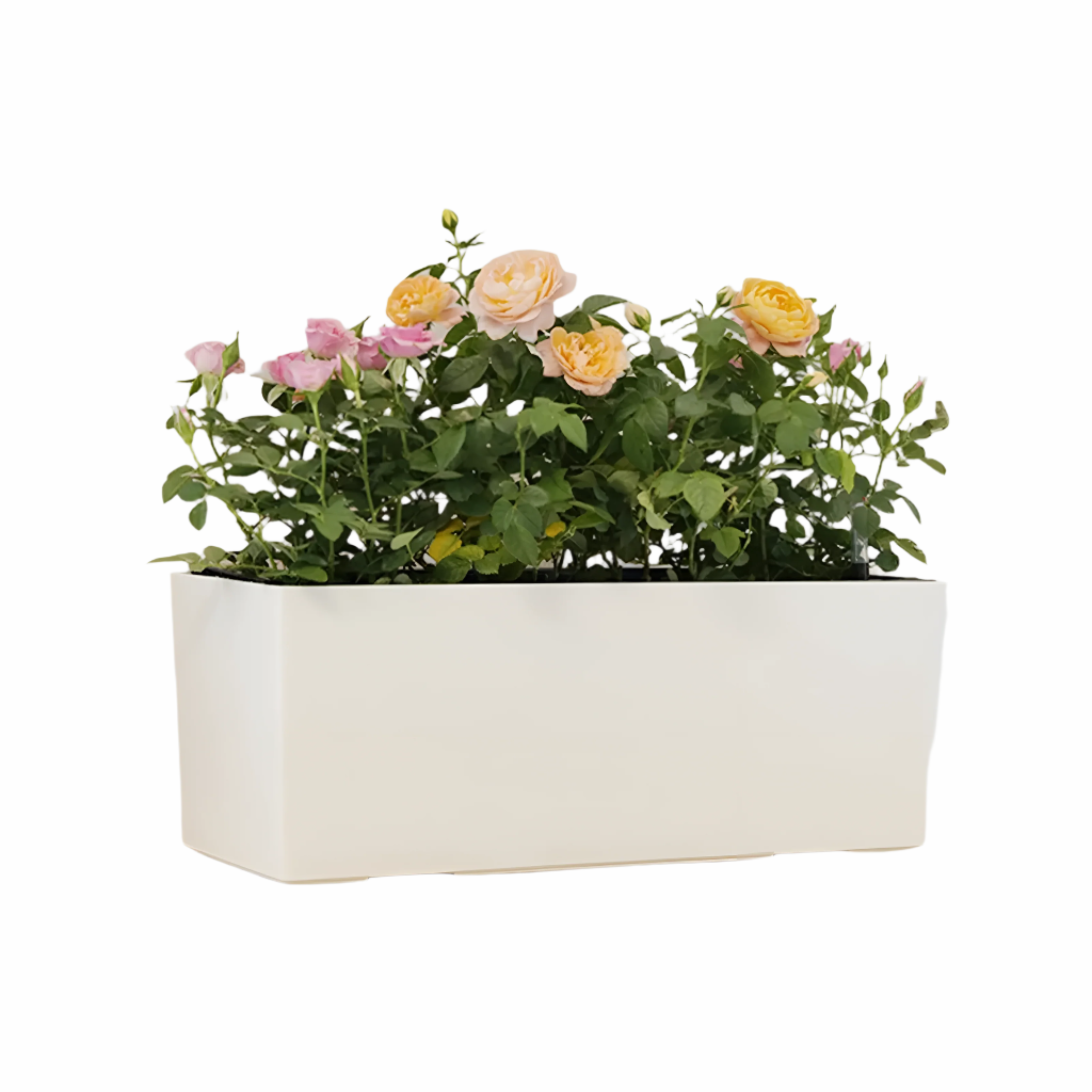 Bilde av Fjella - Selv-vannende Blomsterpotte med Vannivåindikator fra Velisse