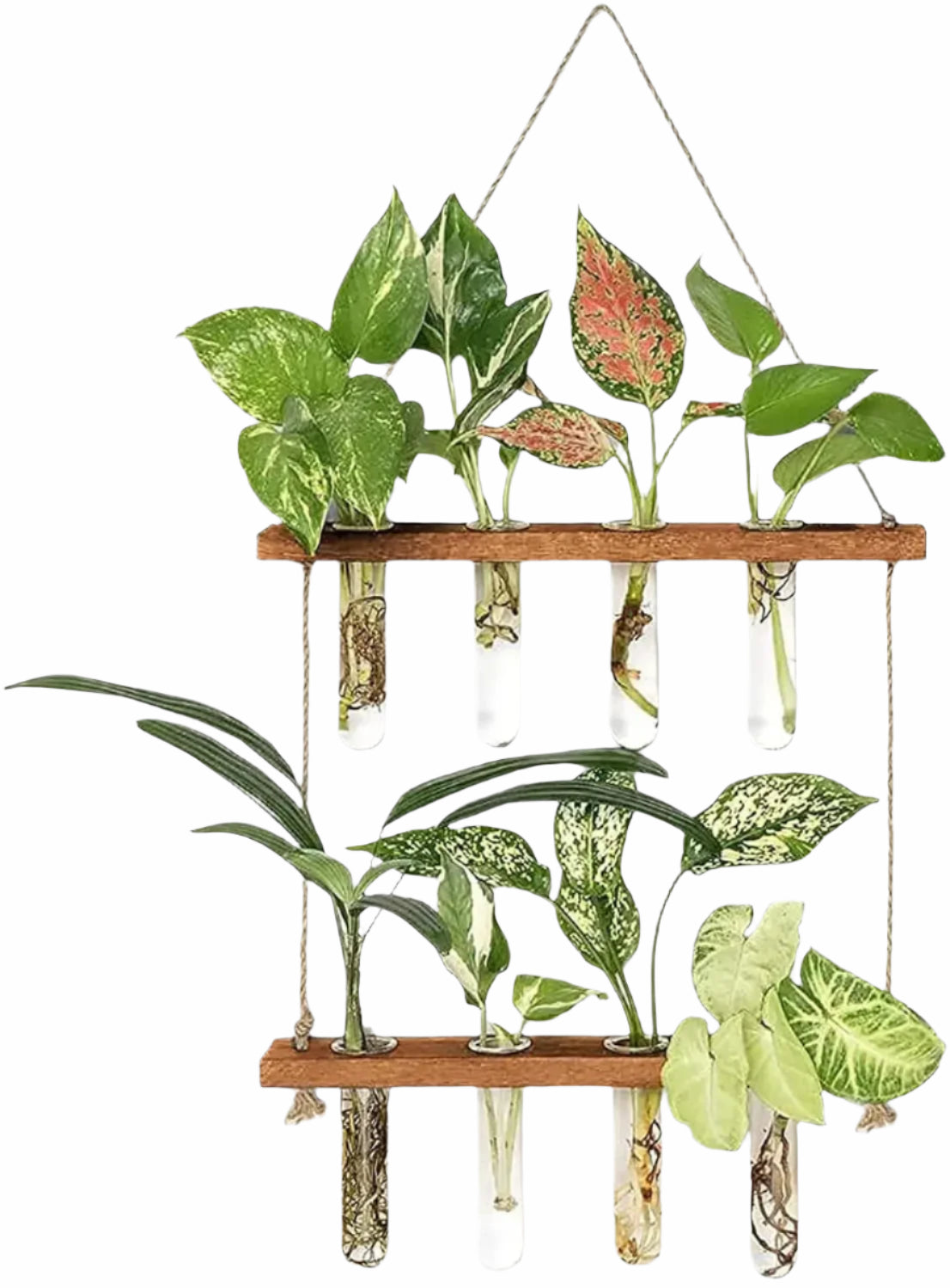 Tre Hengende Planteholder - 2 Lag Og Reagensrør Dekorativ Vegghylle For Planter