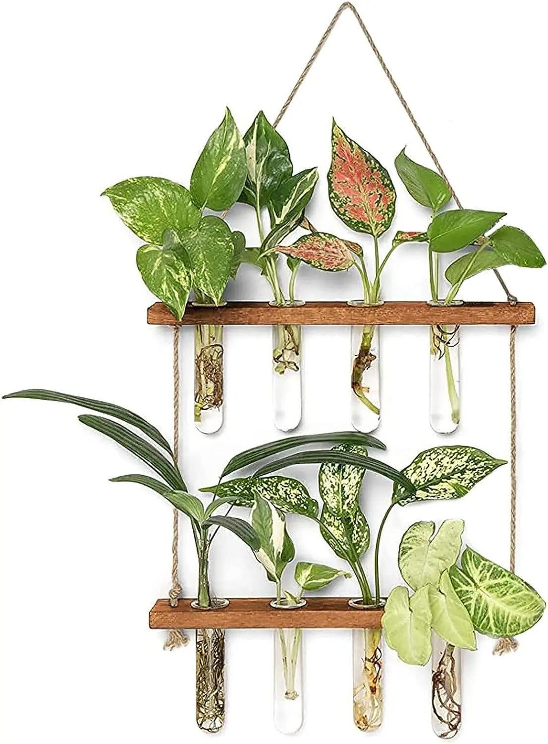 Tre Hengende Planteholder - 2 Lag Og Reagensrør Dekorativ Vegghylle For Planter