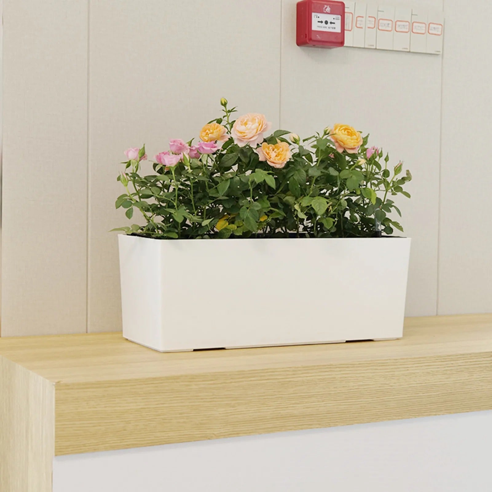 Bilde av Fjella - Selv-vannende Blomsterpotte med Vannivåindikator fra Velisse