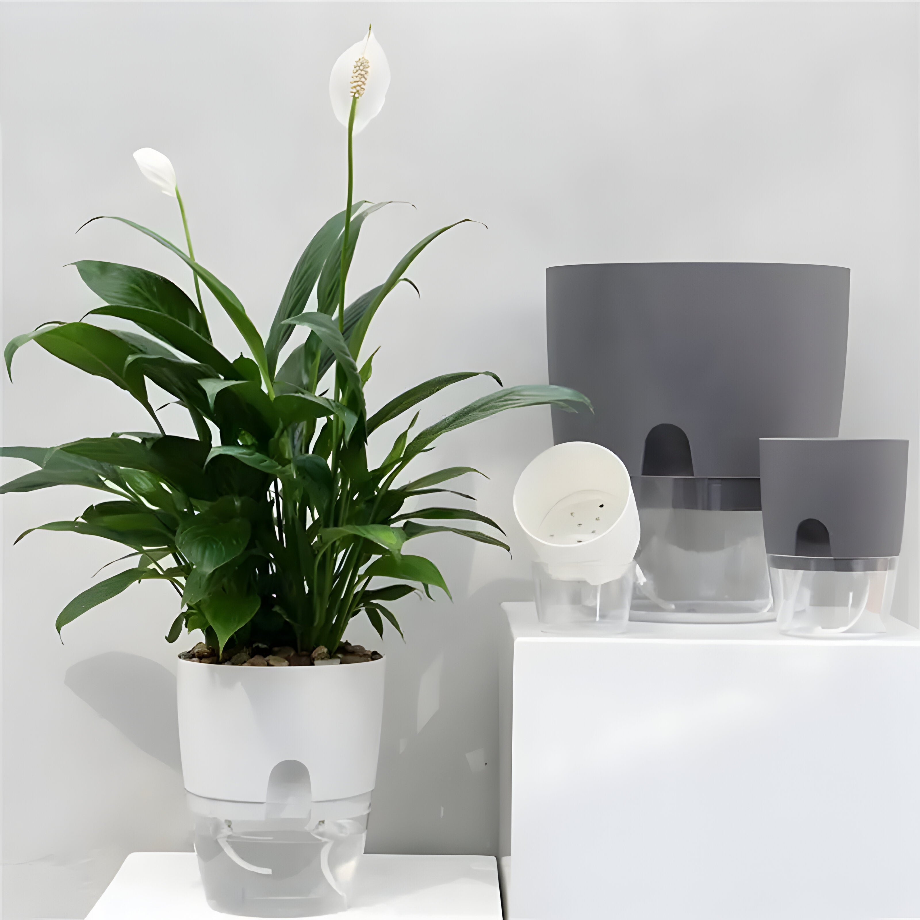 Bilde av Tjorn - Transparent Selv-vannende Blomsterpotte fra Velisse