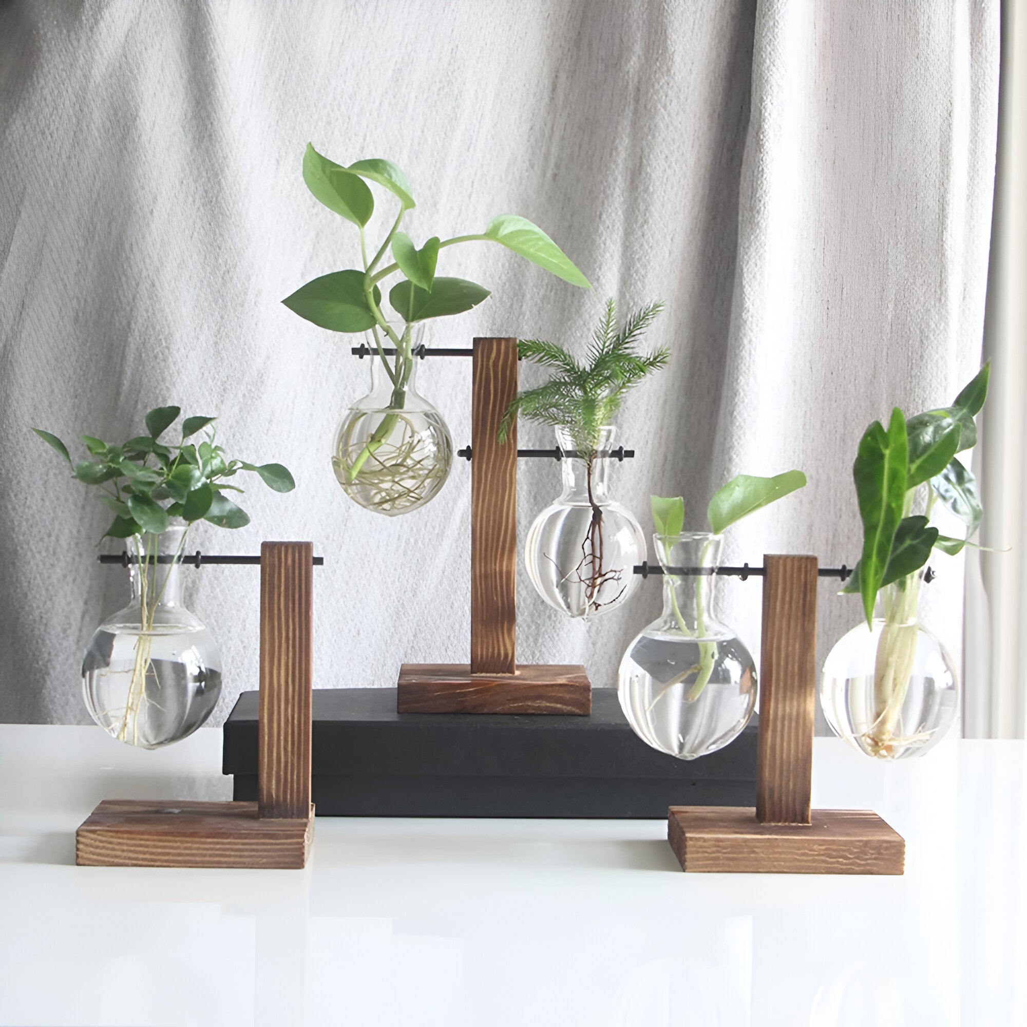 Rinella – Glassvase For Hydroponisk Dyrking Med Stativ I Tre
