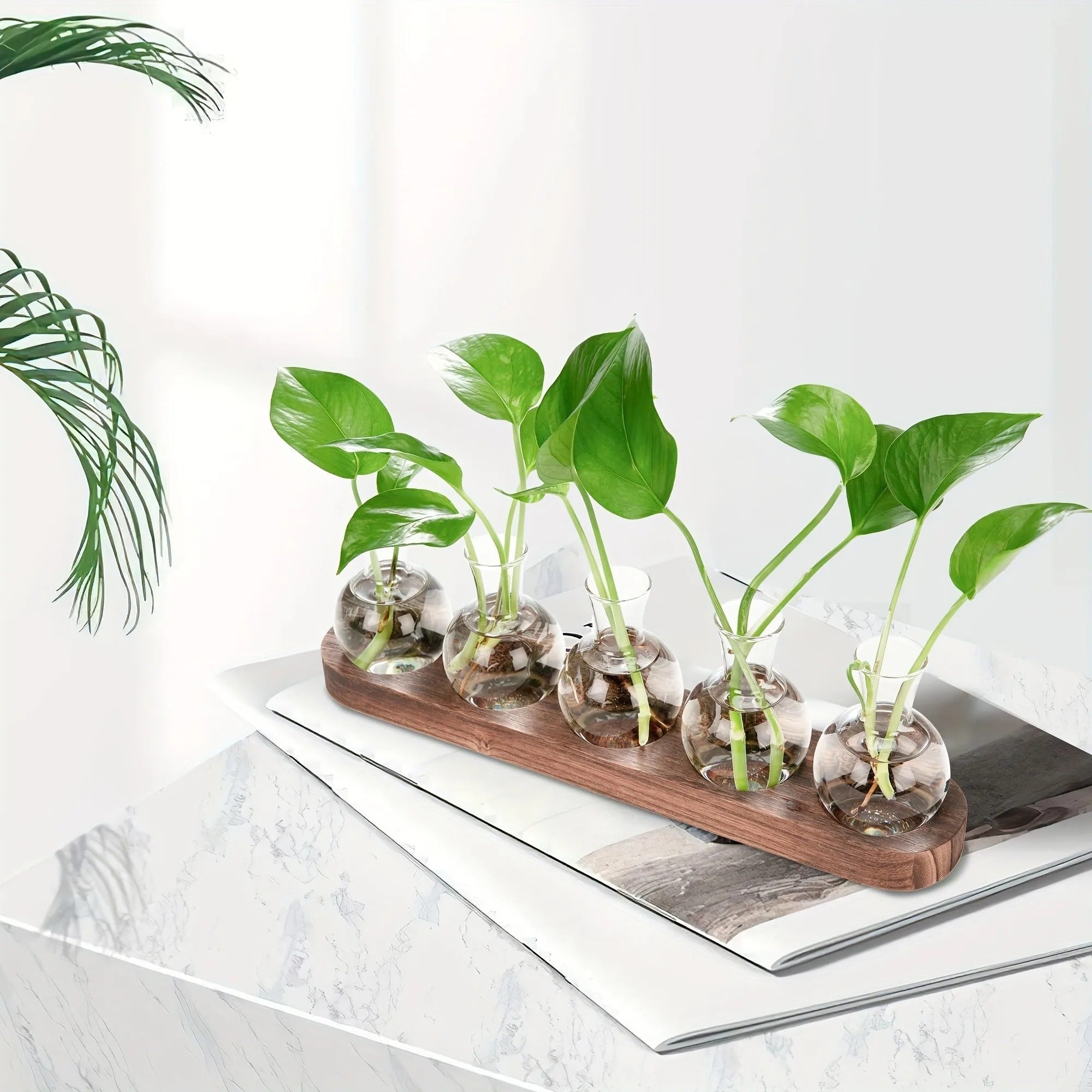 Bilde av Fjorden - Elegant Hydroponisk Glass Vase fra Velisse