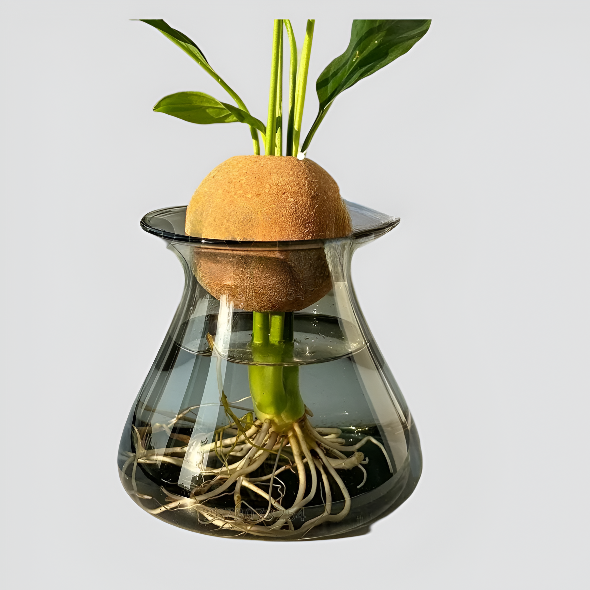 Bilde av Velda - Skandinavisk Bordplate Glass Vase fra Velisse