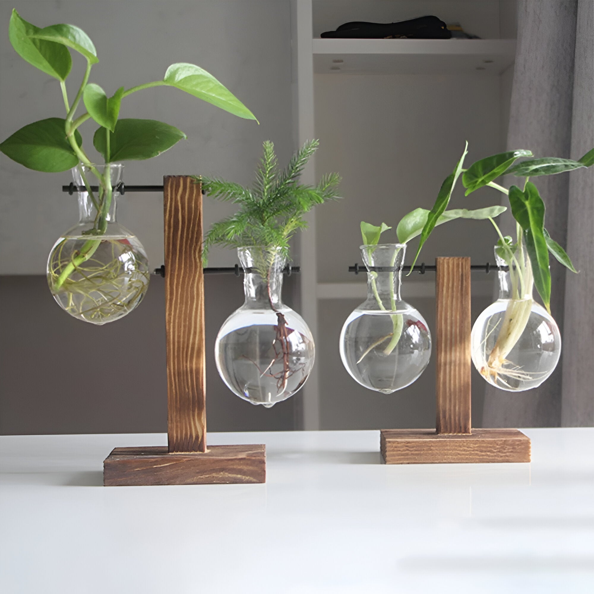 Rinella – Glassvase For Hydroponisk Dyrking Med Stativ I Tre