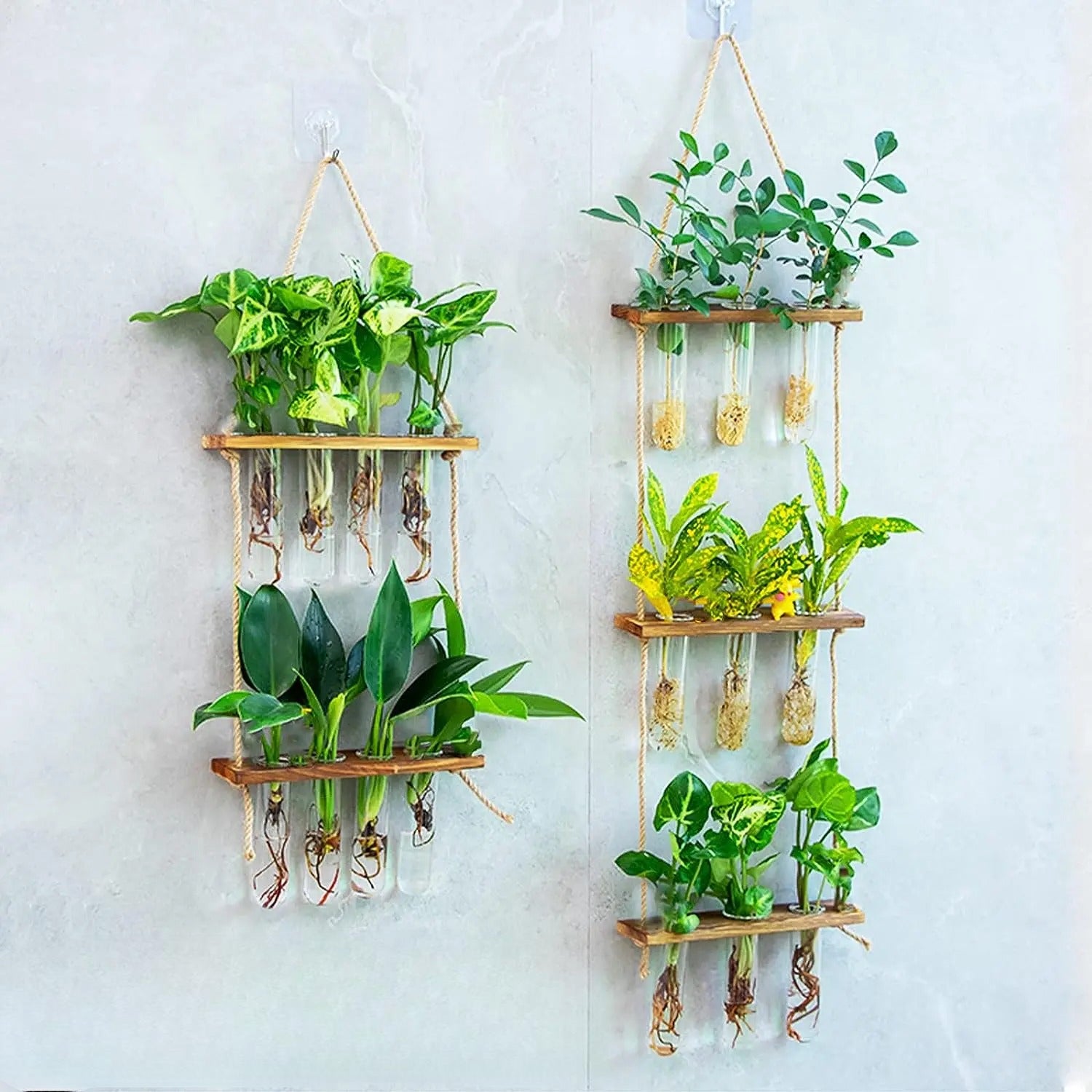 Tre Hengende Planteholder - 2 Lag Og Reagensrør Dekorativ Vegghylle For Planter