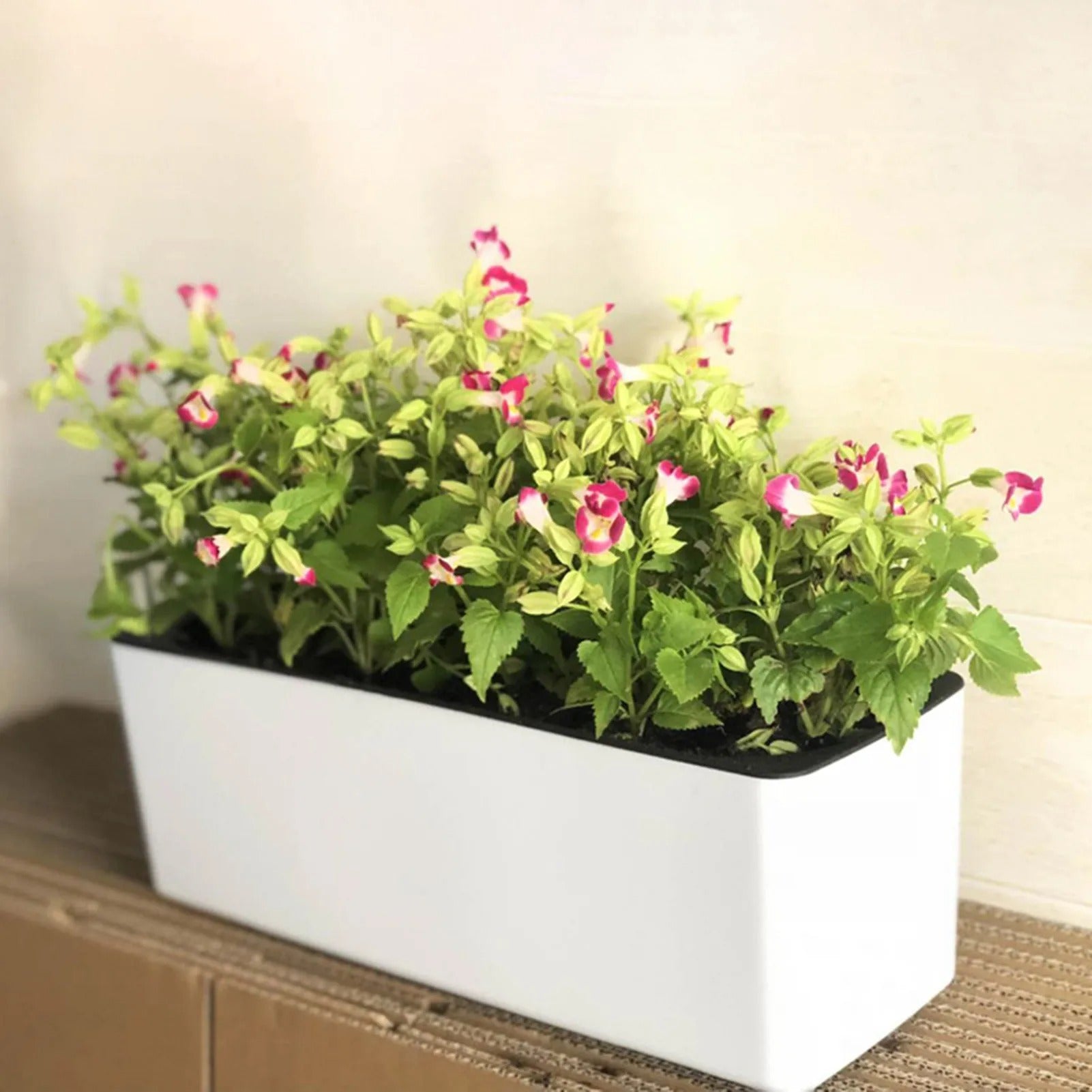 Bilde av Fjella - Selv-vannende Blomsterpotte med Vannivåindikator fra Velisse