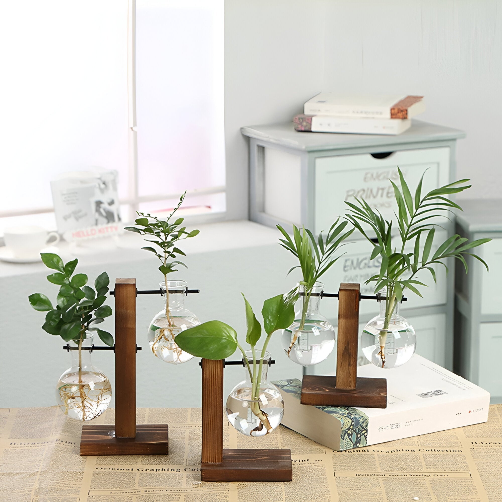Rinella – Glassvase For Hydroponisk Dyrking Med Stativ I Tre