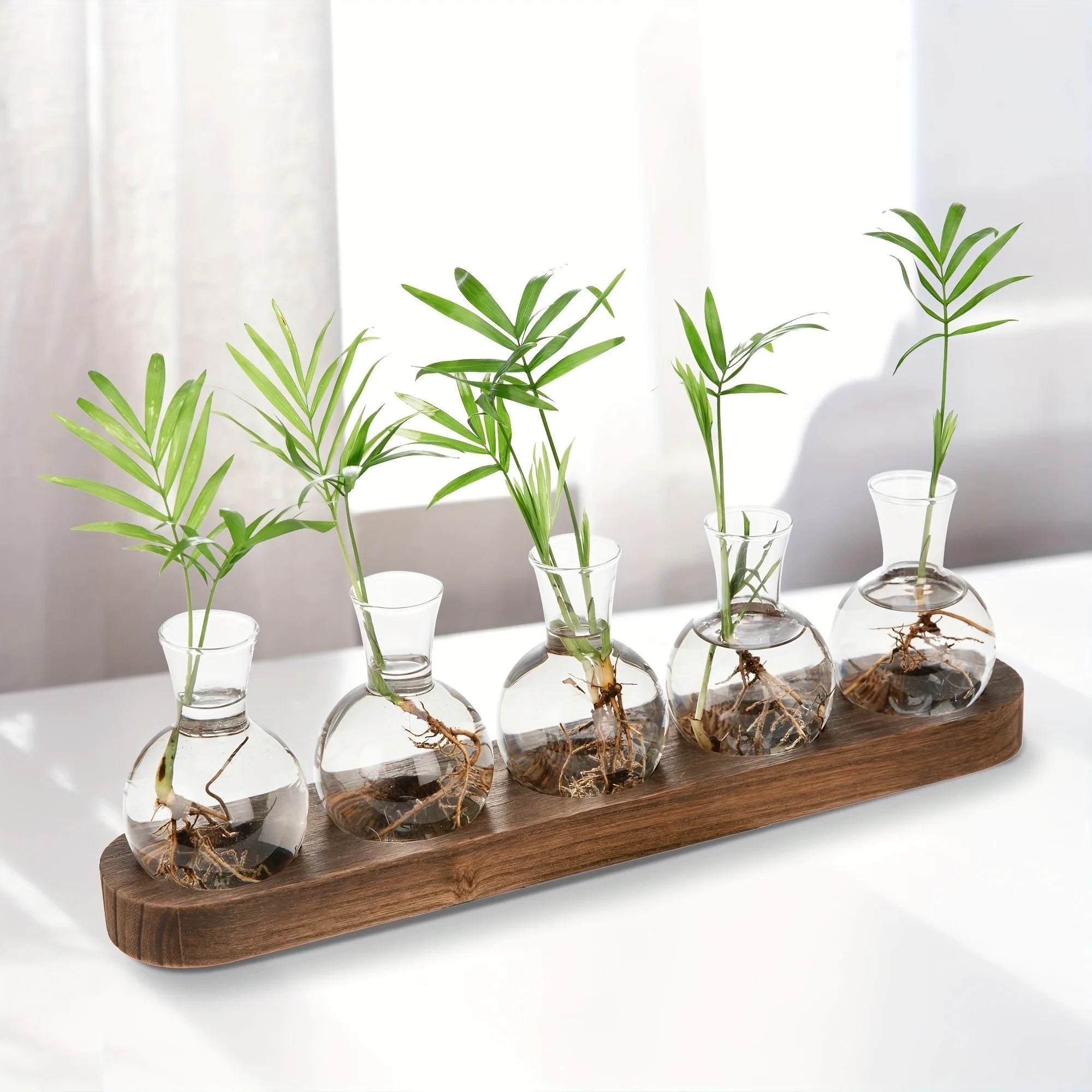 Bilde av Fjorden - Elegant Hydroponisk Glass Vase fra Velisse