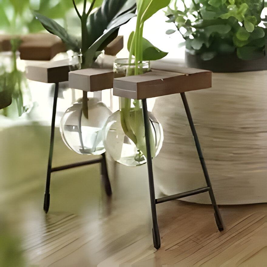 Bilde av Myrja - Treramme Hydroponisk potteplante med Glasskule fra Velisse