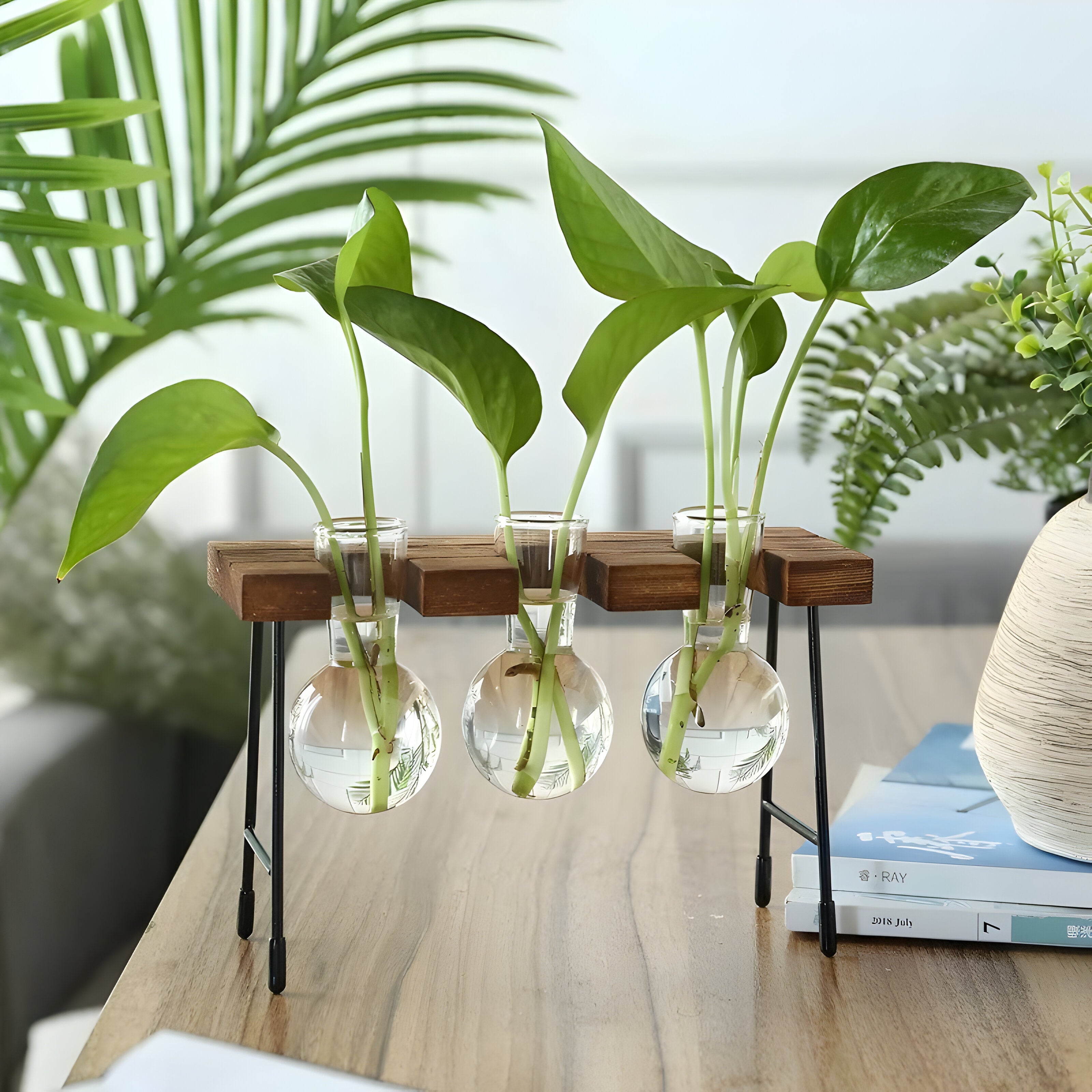 Bilde av Myrja - Treramme Hydroponisk potteplante med Glasskule fra Velisse