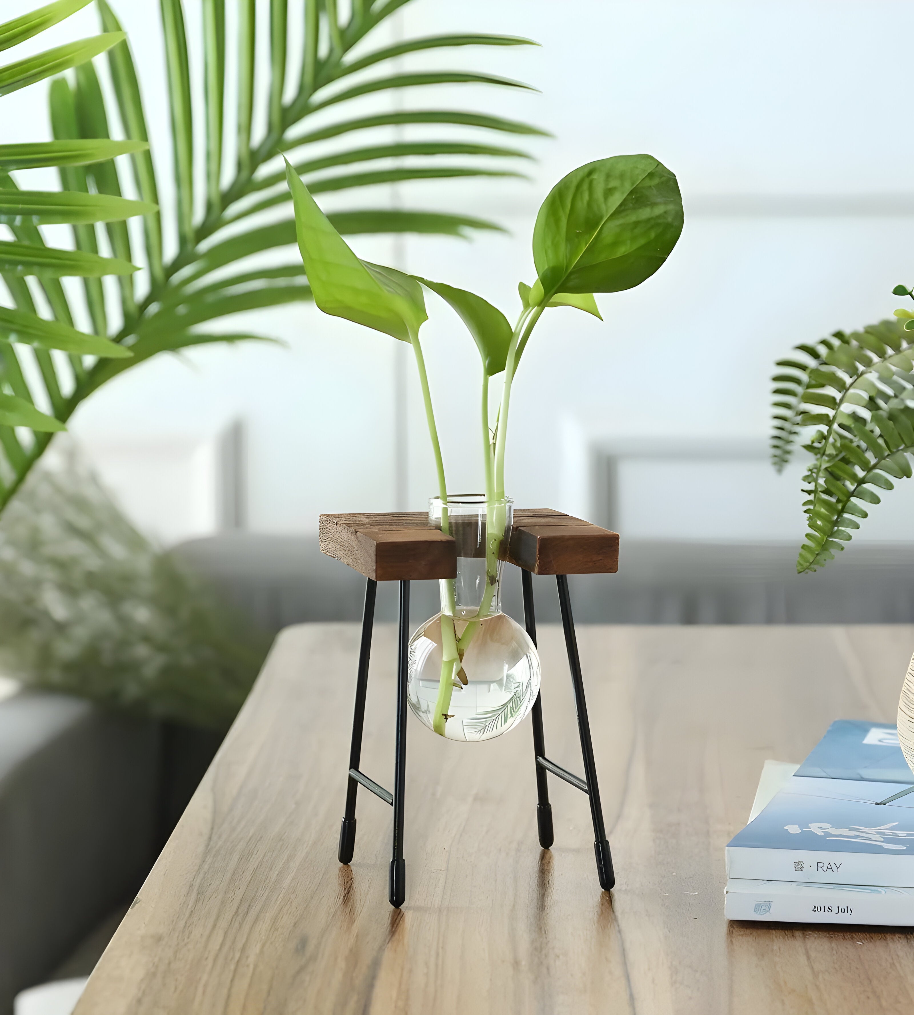 Bilde av Myrja - Treramme Hydroponisk potteplante med Glasskule fra Velisse