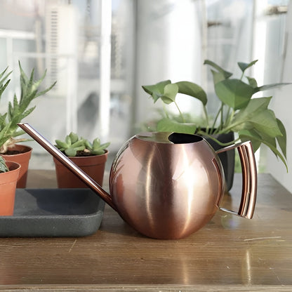 Vannkanne i Metall – Presis og Skånsom Vanning | Perfekt for Stueplanter og Innendørs Bruk