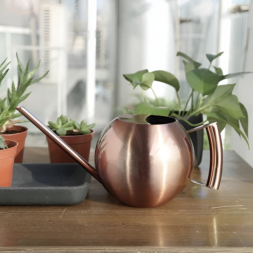 Vannkanne i Metall – Presis og Skånsom Vanning | Perfekt for Stueplanter og Innendørs Bruk