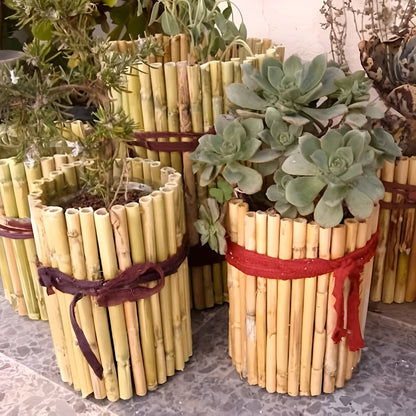 Natürliche Bambusstäbe – Robuste Pflanzenstütze | Perfekt für Garten und Topfpflanzen