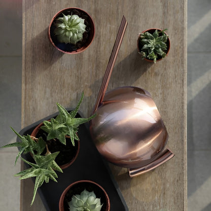 Vannkanne i Metall – Presis og Skånsom Vanning | Perfekt for Stueplanter og Innendørs Bruk