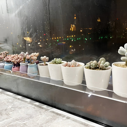 Akryl Vegghylle – Uten Boring og Enkel Montering | Perfekt for Bad og Kjøkken