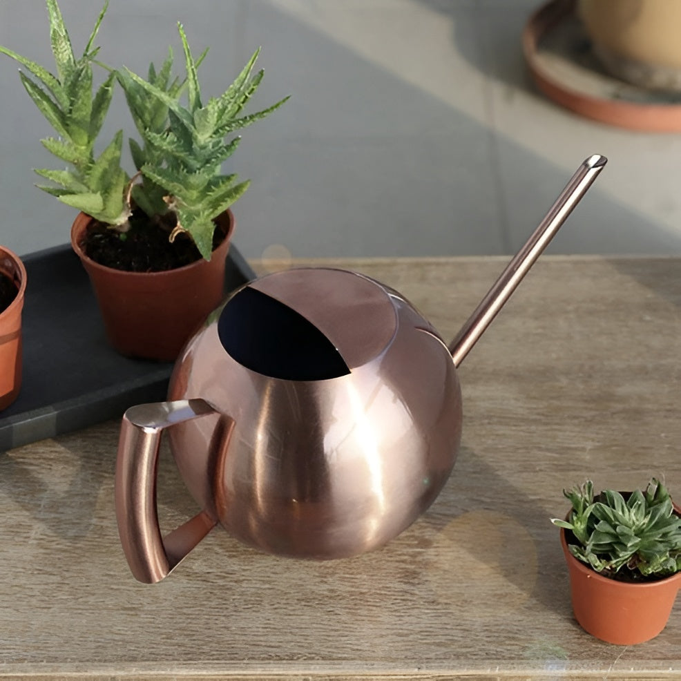 Vannkanne i Metall – Presis og Skånsom Vanning | Perfekt for Stueplanter og Innendørs Bruk