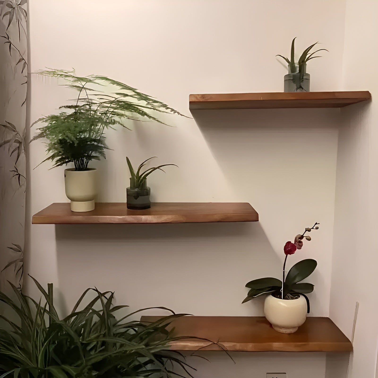 Wandregal aus Holz – Dekorativ und Praktisch | Ideal für Bücher & Deko