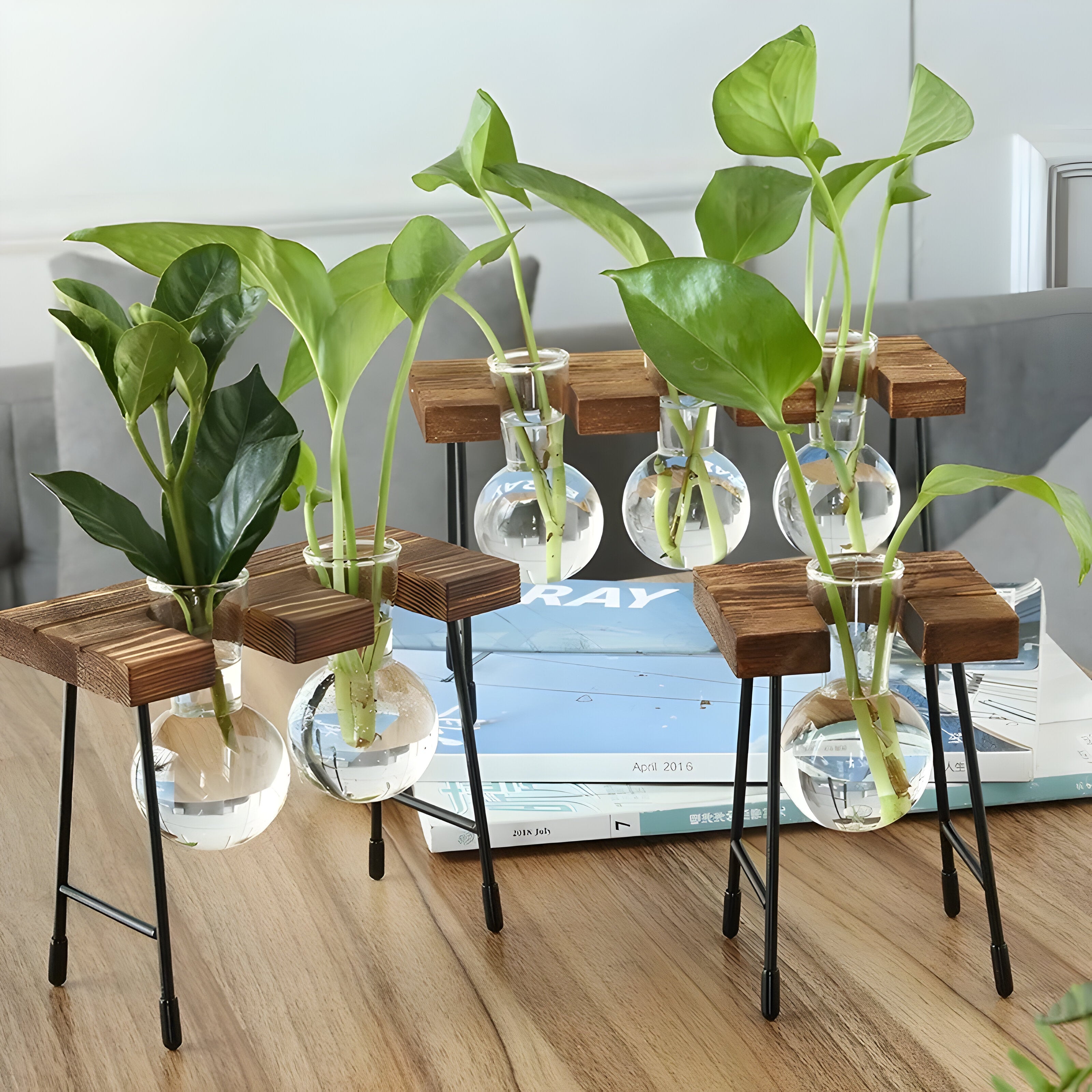 Bilde av Myrja - Treramme Hydroponisk potteplante med Glasskule fra Velisse