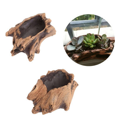 Isbryn – Dekorativ Blomsterpotte For Sukkulenter