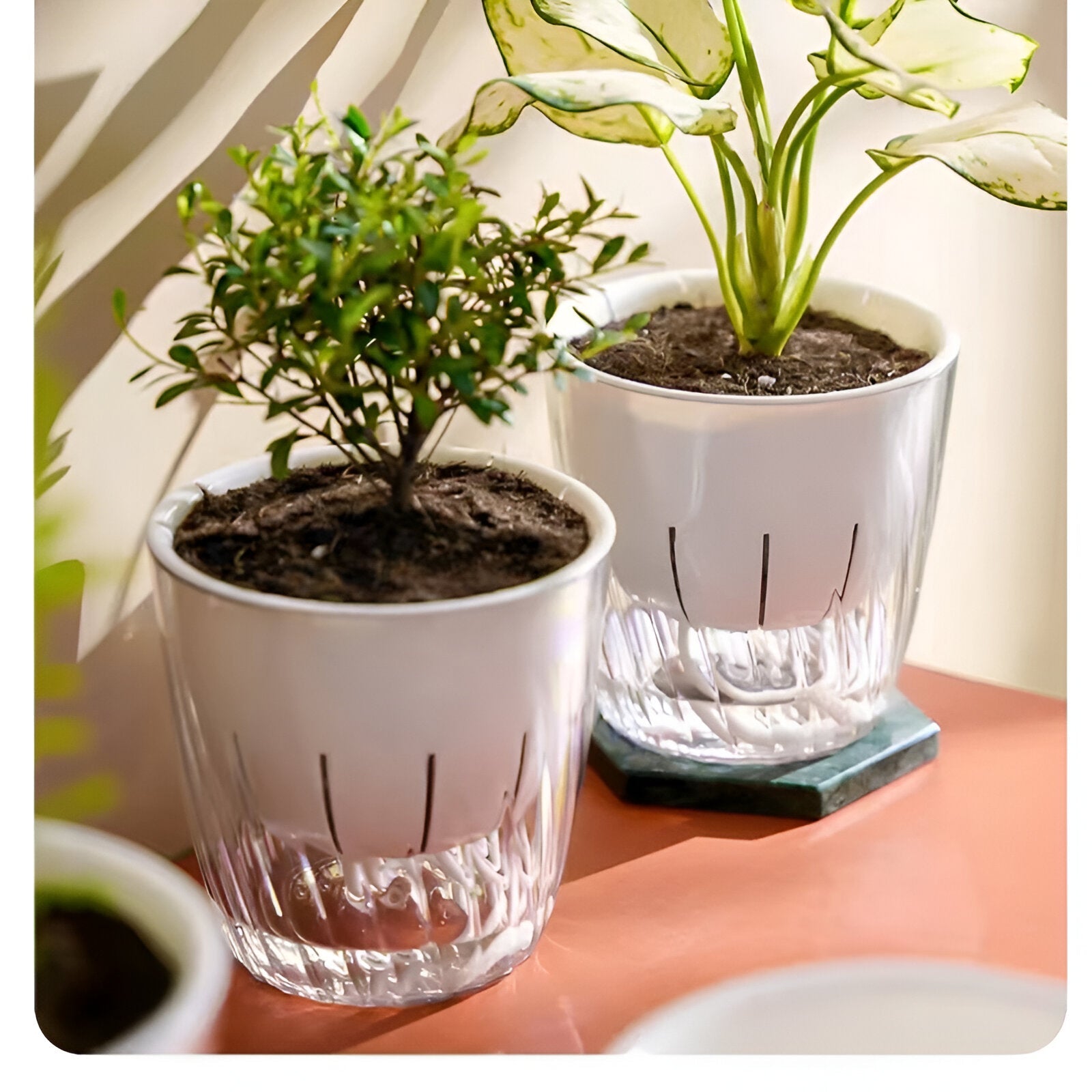 Bilde av Skjorn - 2-Pack Selv-vannende Bordplanter Potte fra Velisse