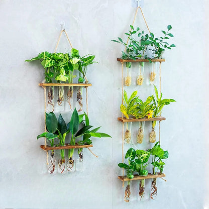 Tre Hengende Planteholder - 2 Lag Og Reagensrør Dekorativ Vegghylle For Planter