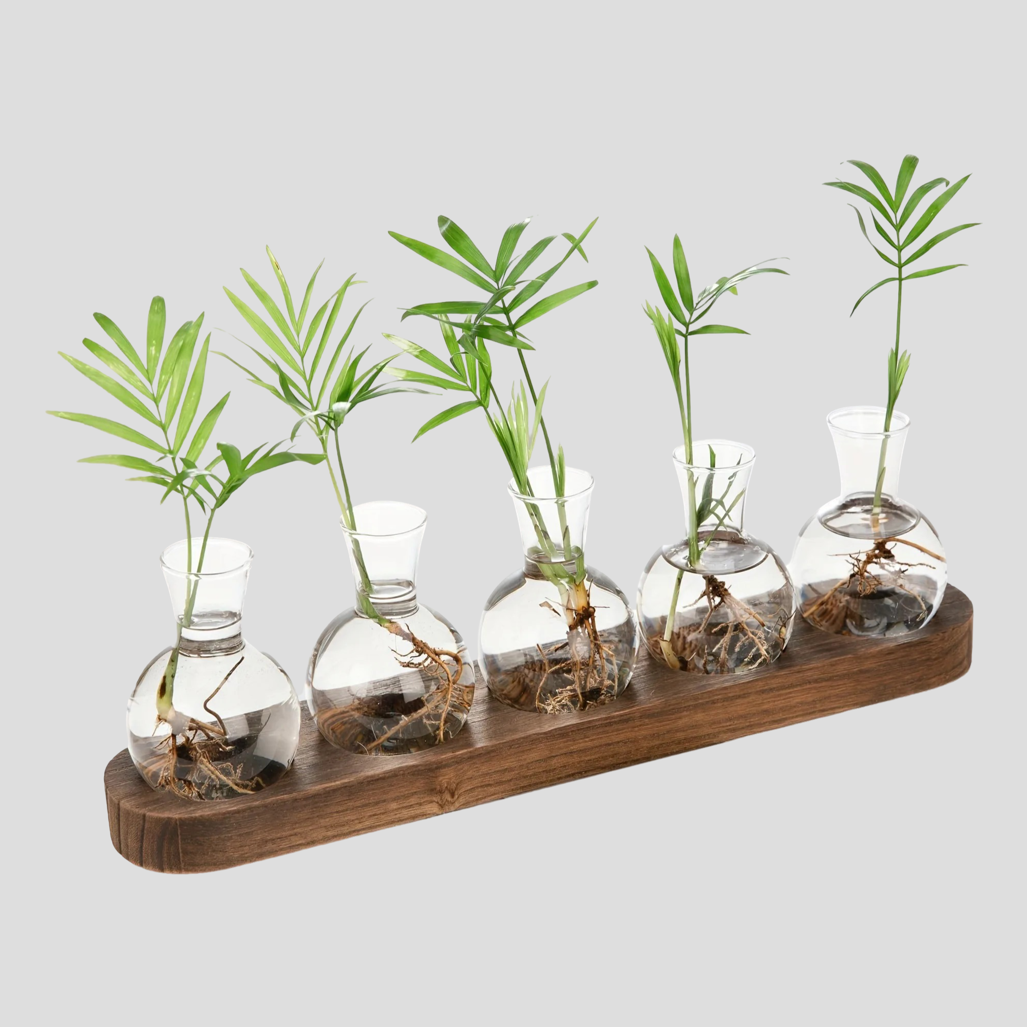 Bilde av Fjorden - Elegant Hydroponisk Glass Vase fra Velisse