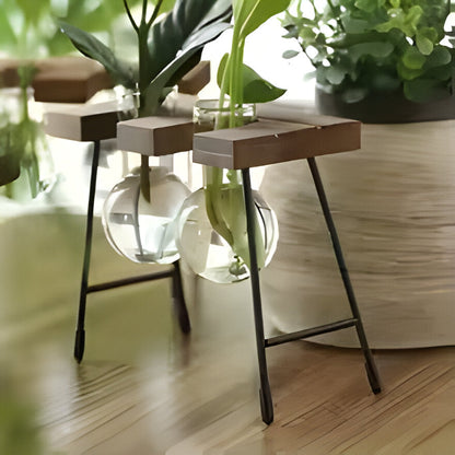 Bilde av Myrja - Treramme Hydroponisk potteplante med Glasskule fra Velisse
