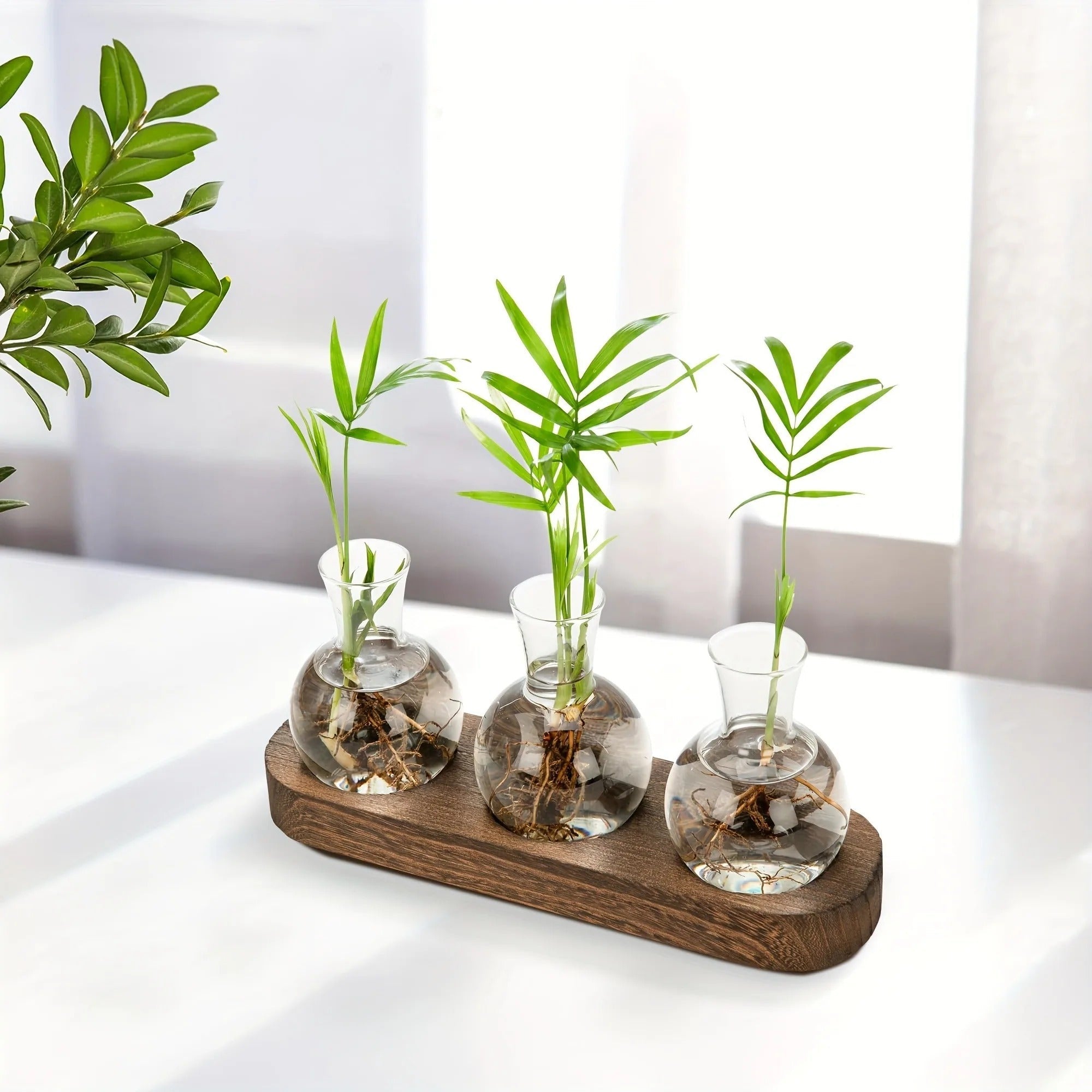 Bilde av Fjorden - Elegant Hydroponisk Glass Vase fra Velisse