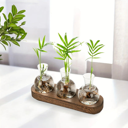 Bilde av Fjorden - Elegant Hydroponisk Glass Vase fra Velisse